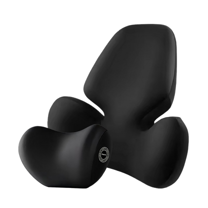 COJIN ERGONOMICO PRO PARA AUTO